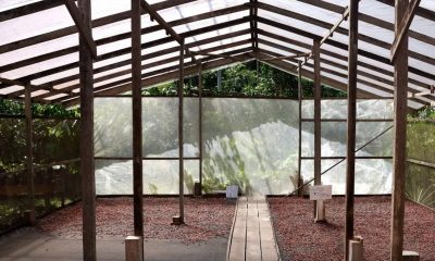 edital-seleciona-projetos-de-i