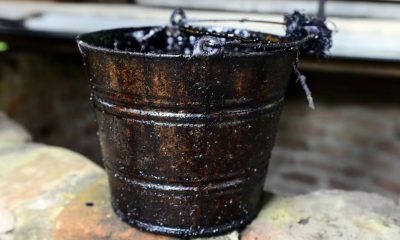 equador-inicia-exploracao-de-p