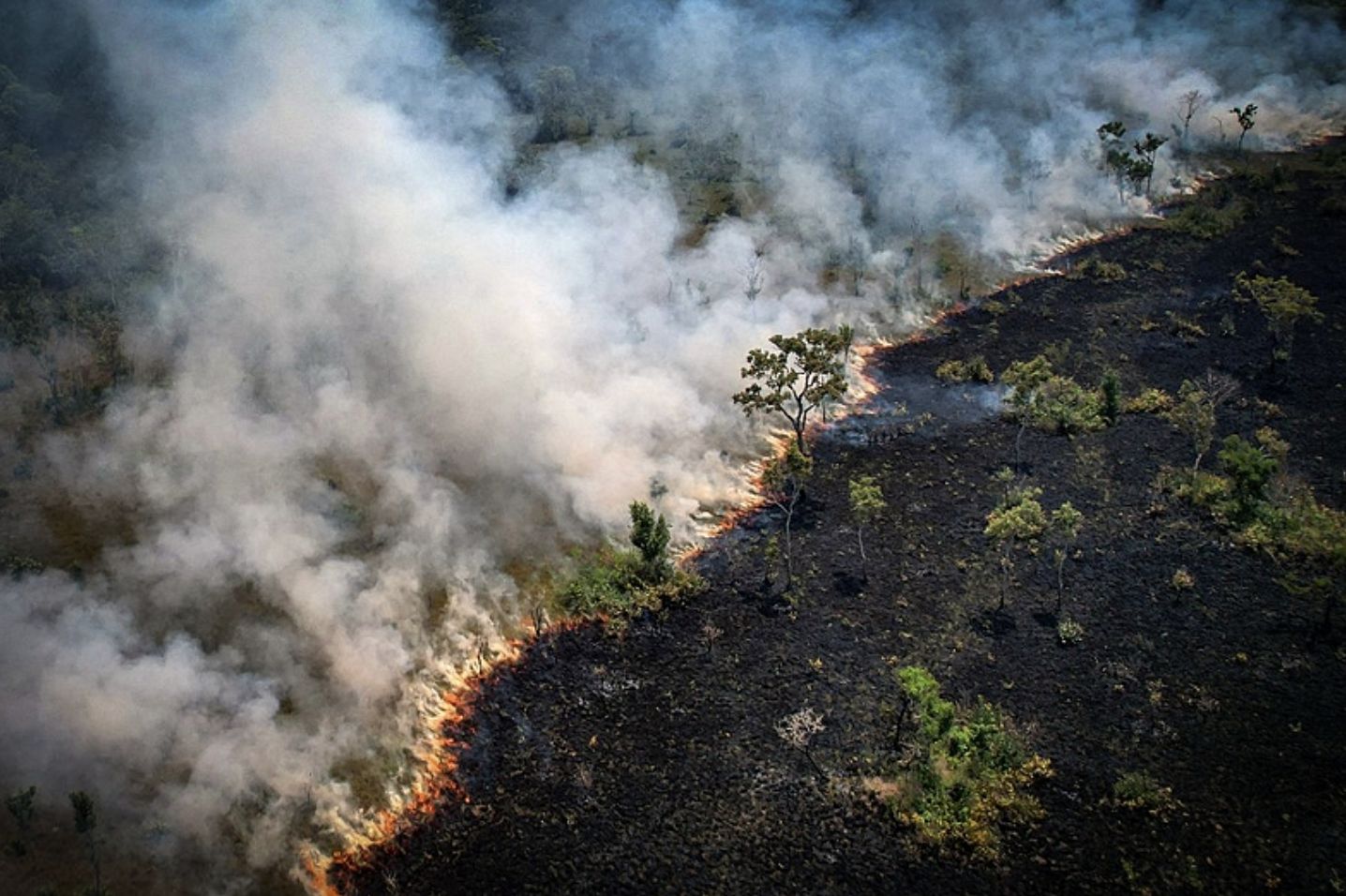 estudo-que-durou-20-anos-mostr