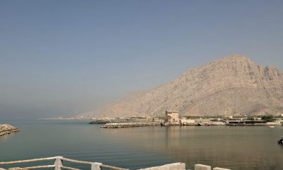 exportacoes-brasileiras-ao-gol