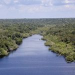 fundo-amazonia-direciona-r-350