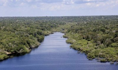 fundo-amazonia-direciona-r-350