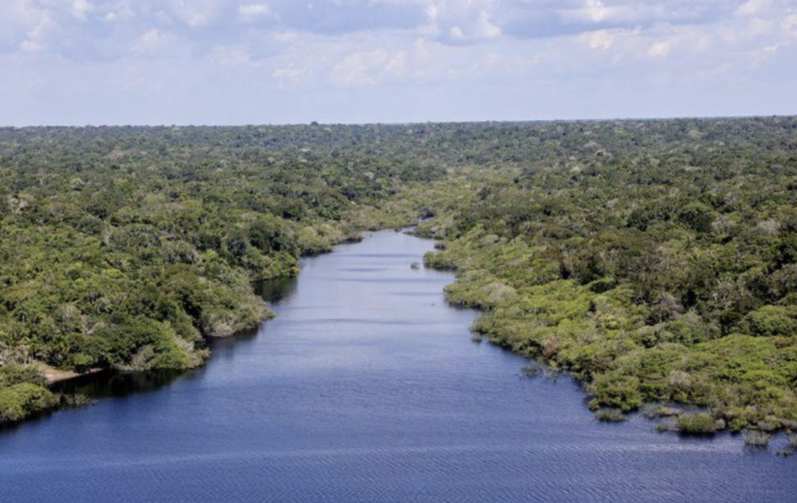 fundo-amazonia-direciona-r-350