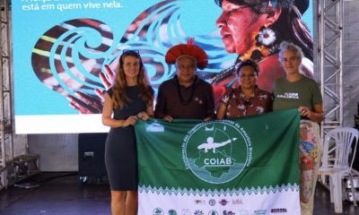 fundo-amazonia-lanca-premio-pa