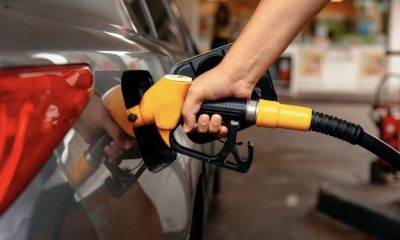 governo-anuncia-novas-acoes-pa