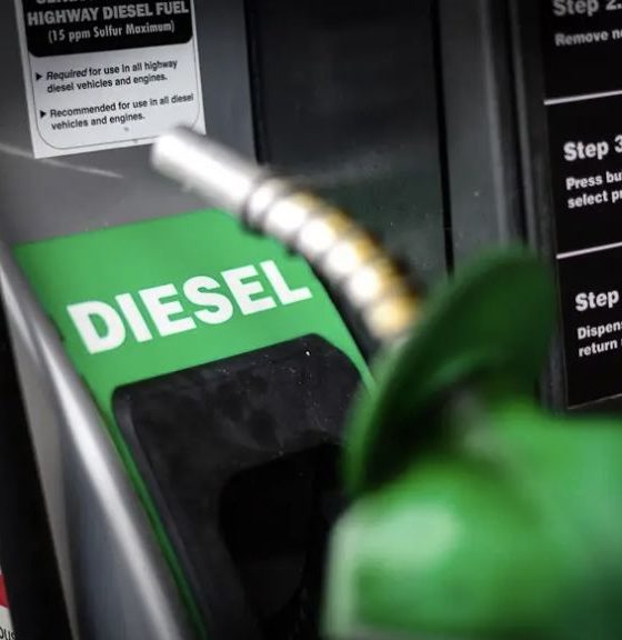 governo-federal-publica-mp-do-