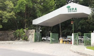 inpa-promove-conferencia-dos-o