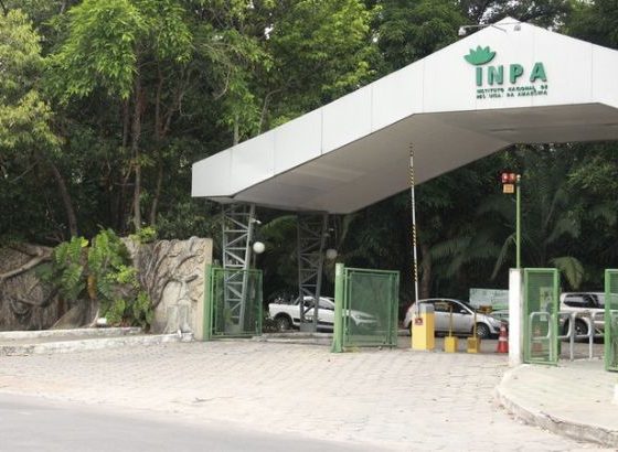 inpa-promove-conferencia-dos-o