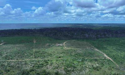 instituto-diz-que-aplicou-mais
