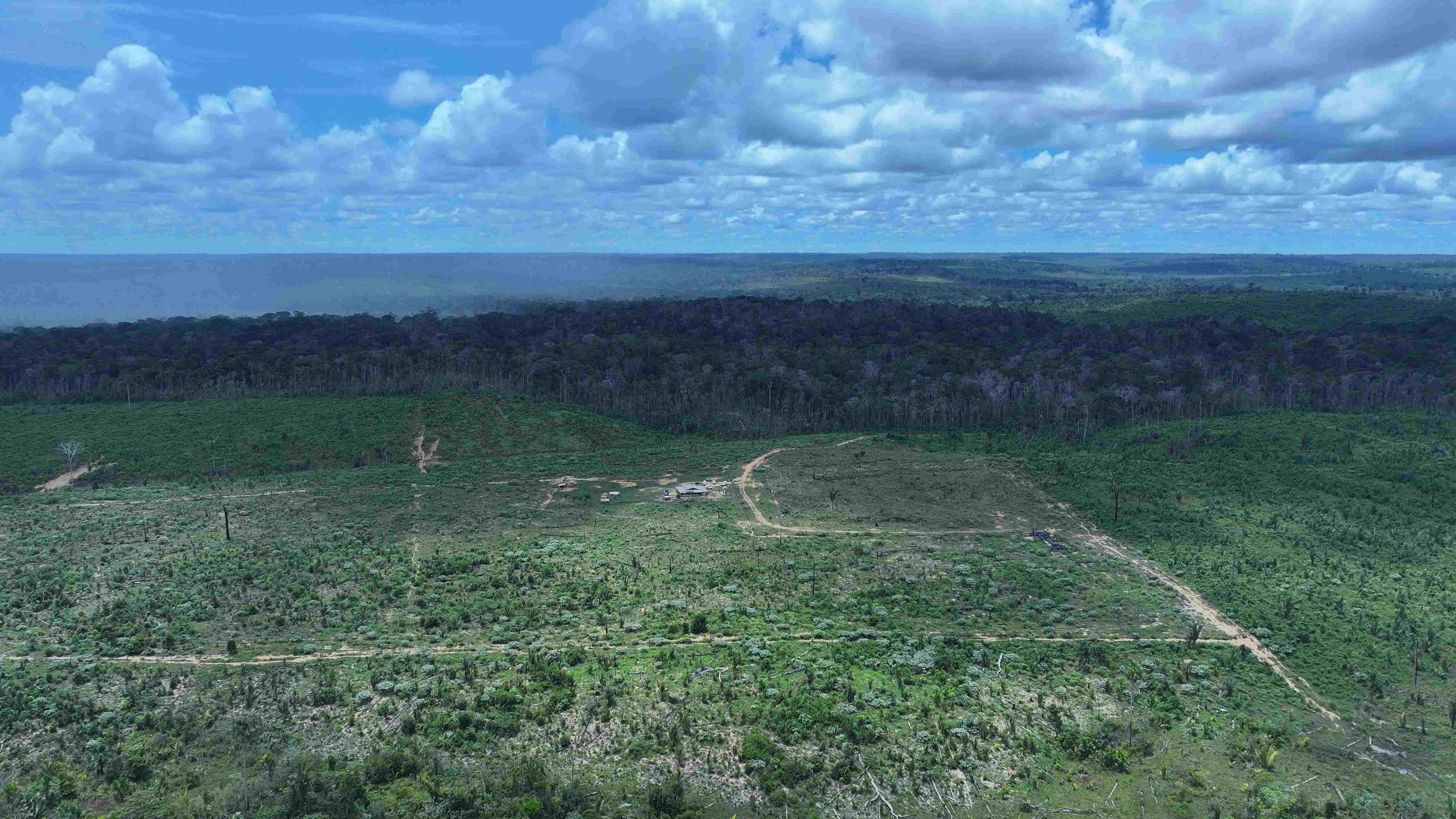 instituto-diz-que-aplicou-mais