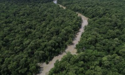 instituto-oferece-bolsas-de-es
