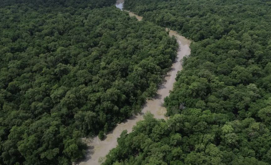 instituto-oferece-bolsas-de-es