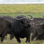 justica-federal-autoriza-retom