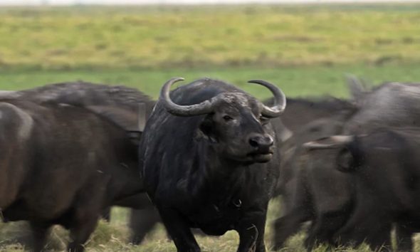 justica-federal-autoriza-retom