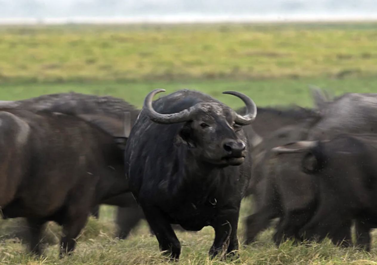 justica-federal-autoriza-retom