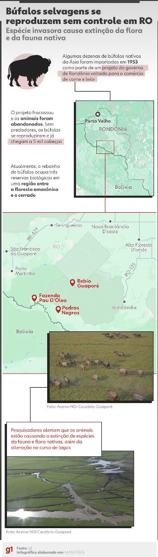 justica-federal-autoriza-retom