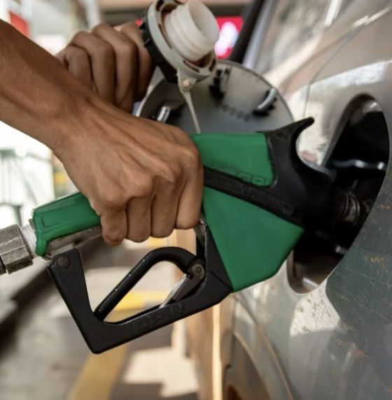 mais-de-80-dos-estados-aderem-