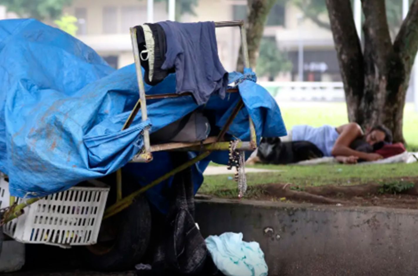 mpf-recomenda-adesao-do-estado