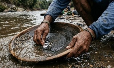 mpf-recomenda-criacao-de-siste