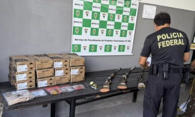 no-amazonas-pf-destroi-mais-de