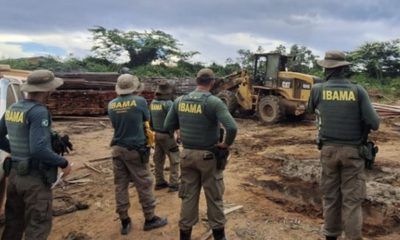 operacao-do-ibama-intensifica-