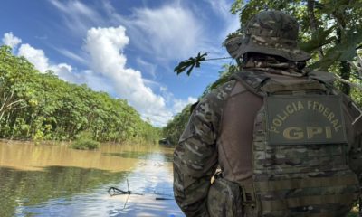 policia-federal-e-ibama-atuam-