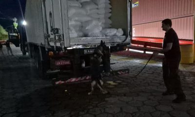 policia-intercepta-150-quilos-