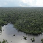 primeira-concessao-florestal-e