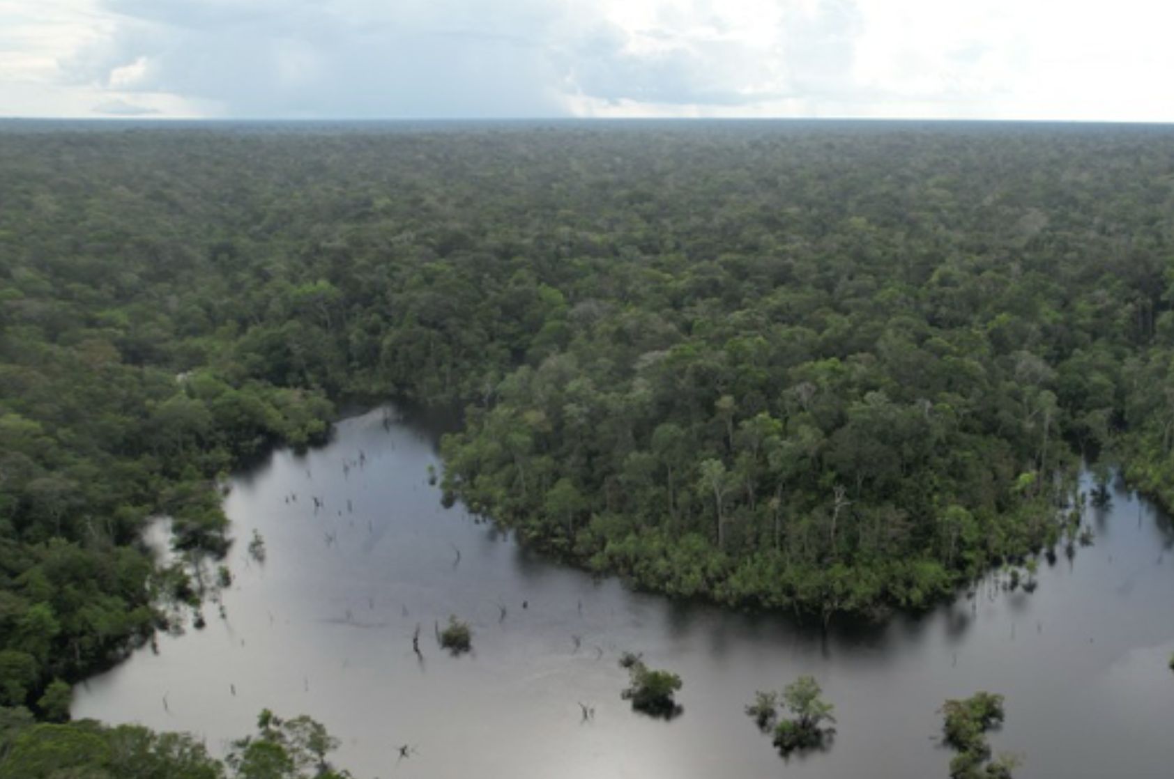 primeira-concessao-florestal-e