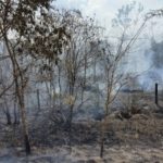 secas-mais-longas-e-mudancas-n