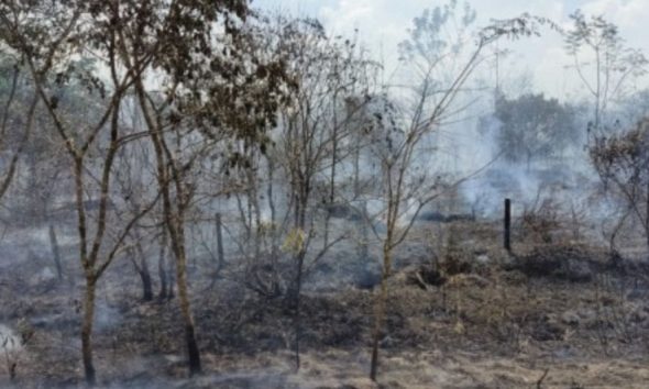 secas-mais-longas-e-mudancas-n