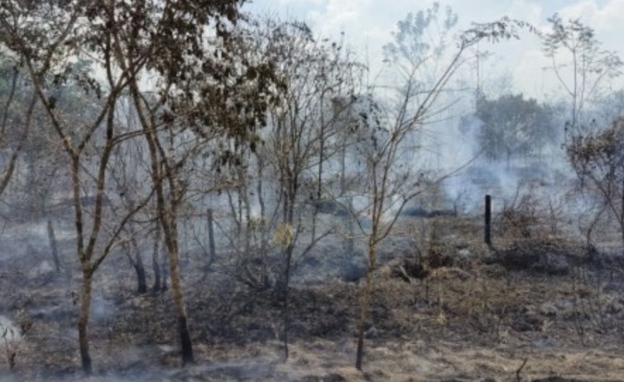 secas-mais-longas-e-mudancas-n