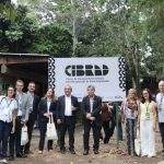 shell-e-inpa-lancam-centro-em-