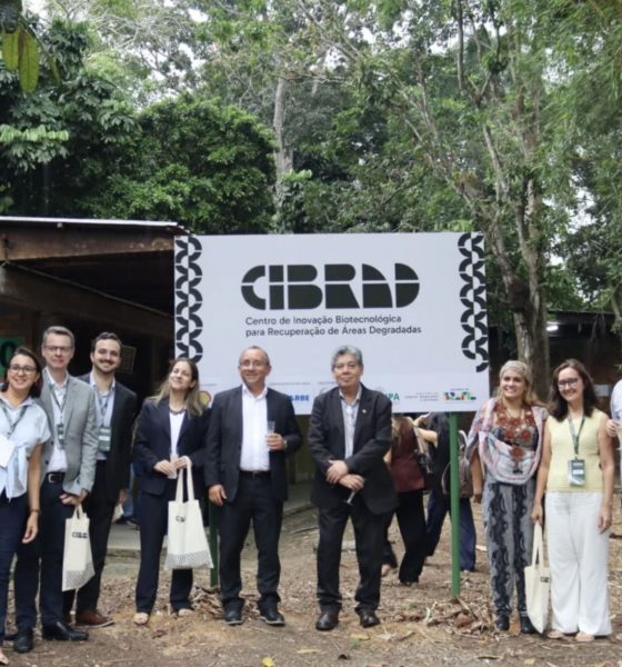 shell-e-inpa-lancam-centro-em-