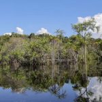 tesouro-nacional-muda-regras-d