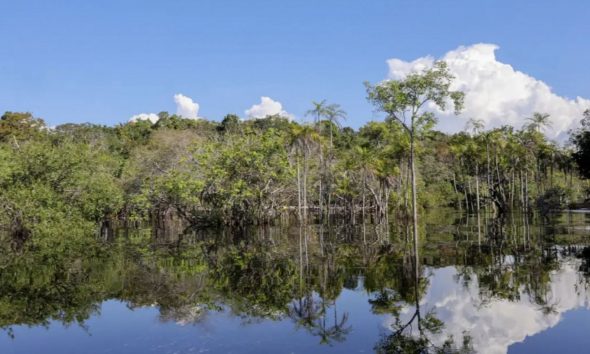 tesouro-nacional-muda-regras-d