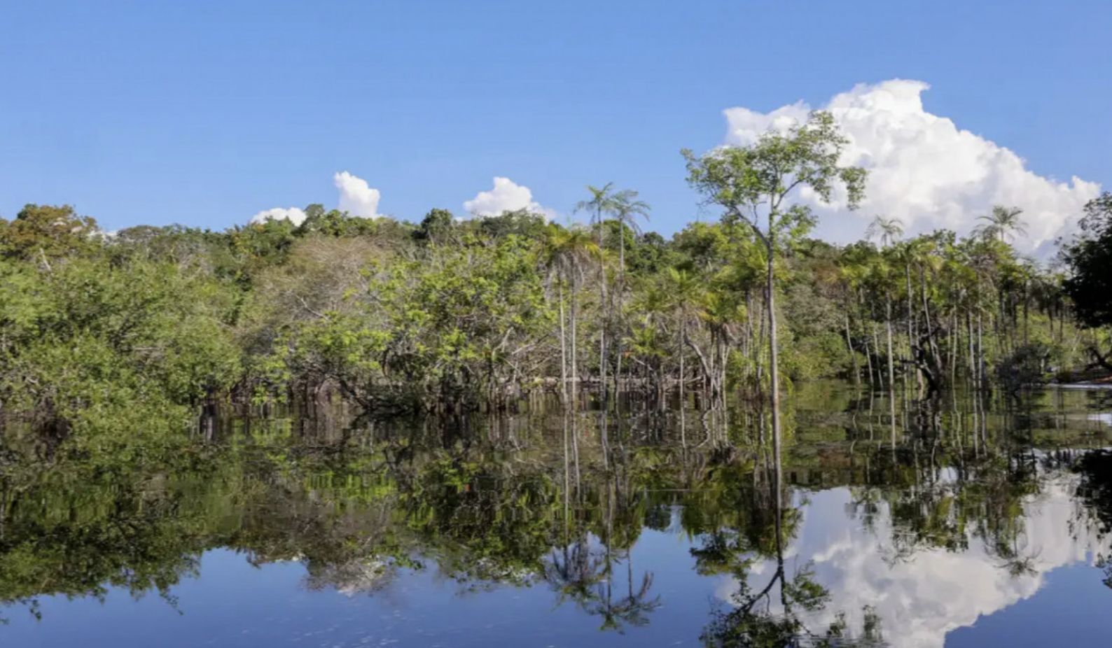 tesouro-nacional-muda-regras-d