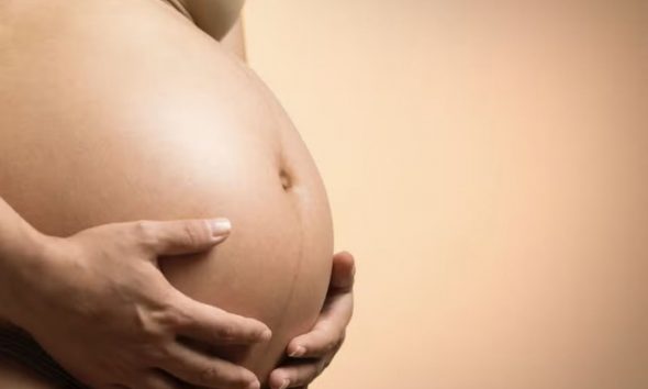 tst-decide-que-gravidas-em-con