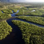amazonas-tem-116-pessoas-inclu