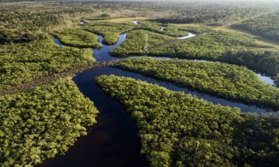 amazonas-tem-116-pessoas-inclu