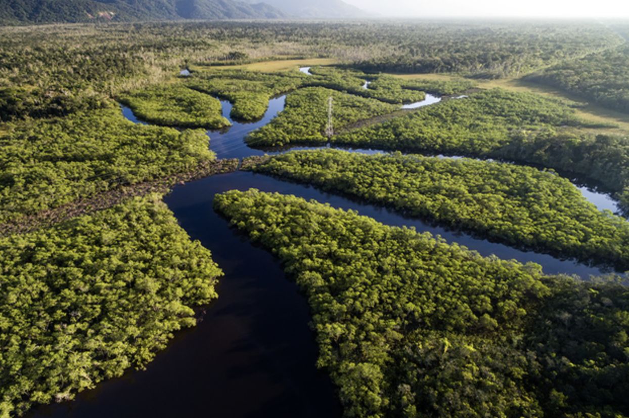 amazonas-tem-116-pessoas-inclu