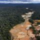 amazonia-esta-sob-ataque-cresc
