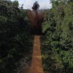 amazonia-tem-quase-tres-mil-pi