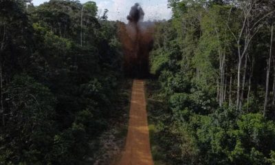 amazonia-tem-quase-tres-mil-pi