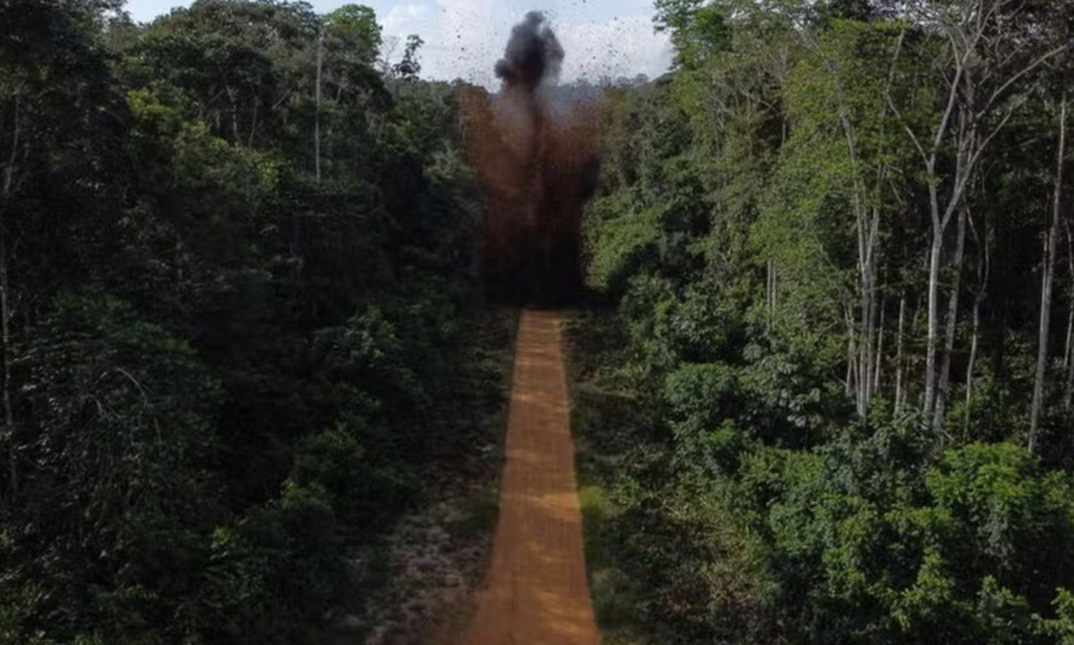 amazonia-tem-quase-tres-mil-pi