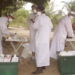 cacadores-de-virus-e-book-reve