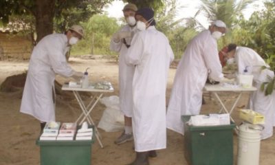cacadores-de-virus-e-book-reve