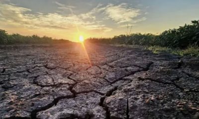 chances-de-novo-el-nino-passam