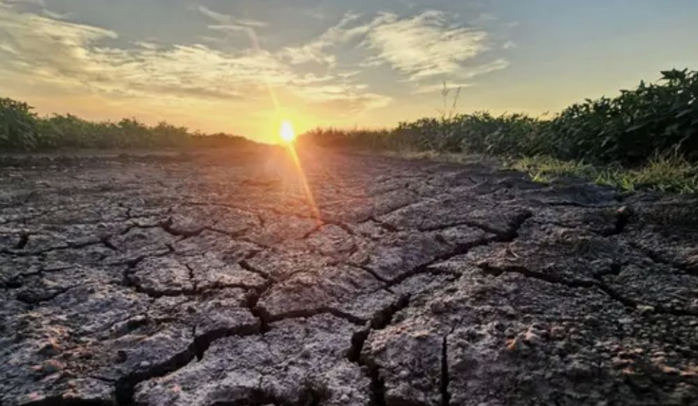 chances-de-novo-el-nino-passam