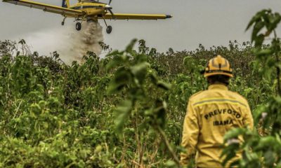 comite-avanca-para-fortalecer-